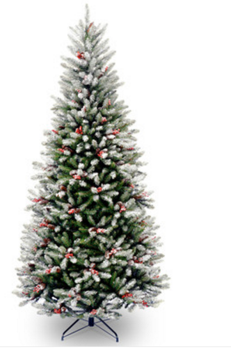 house-additions-frosted-winfield-fir-tree